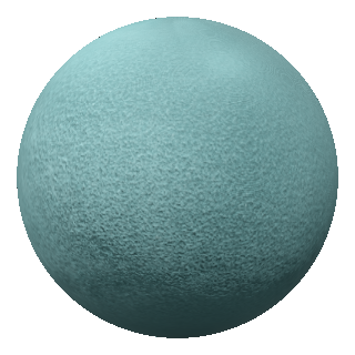 Limpet Shell