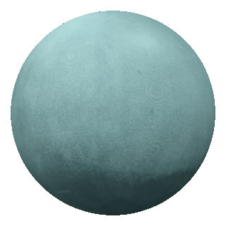 Limpet Shell