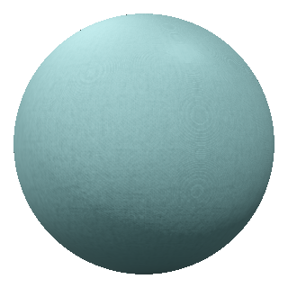 Limpet Shell